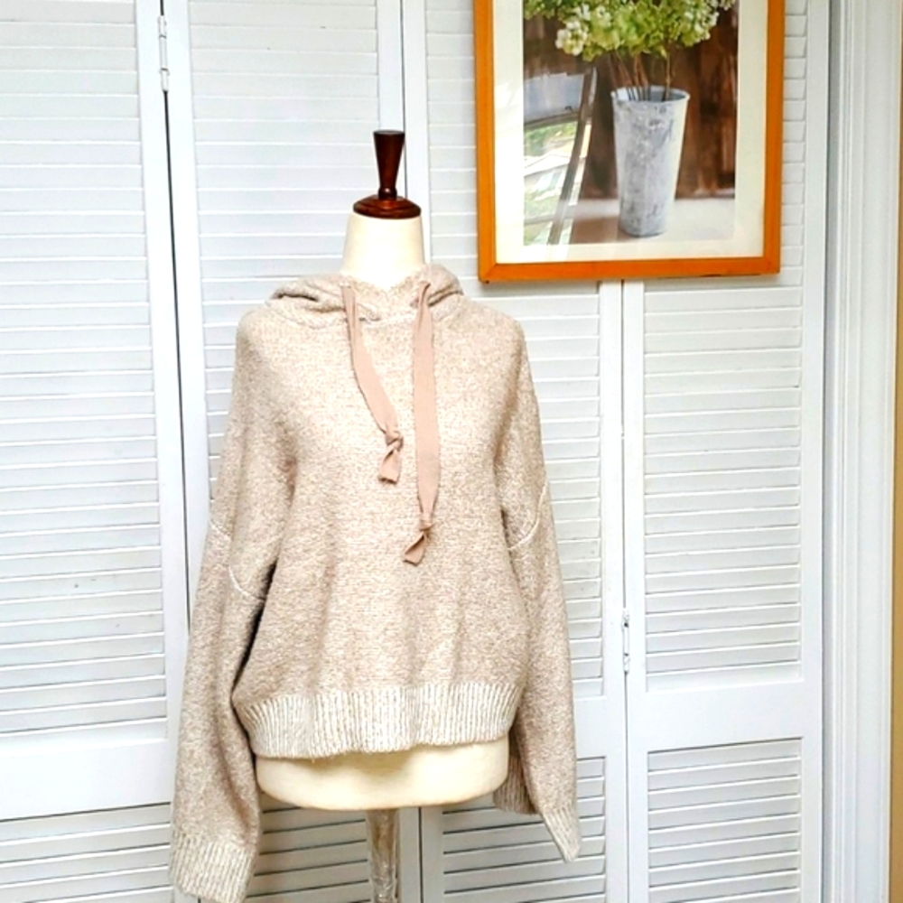 Kaisley Hooded Pullover Knit Cropped Sweater Size L